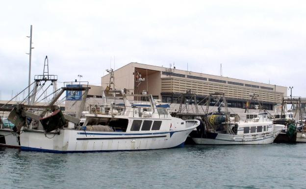 El sector pesquero exige que se avance la veda a abril para poder salir a flote tras la crisis