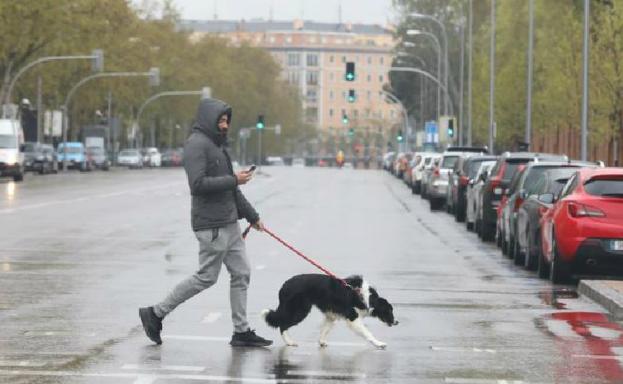 Importante aviso de los veterinarios sobre los perros y el coronavirus