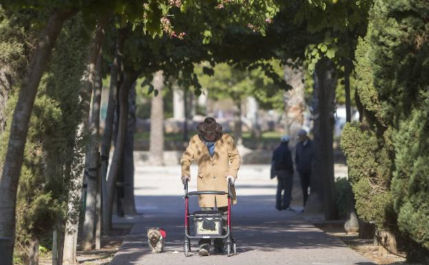 Uno de cada cuatro ancianos vive sólo