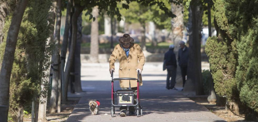 Uno de cada cuatro ancianos vive sólo
