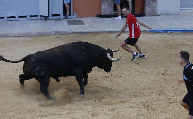 Las peñas de bous al carrer y ganaderos cargan contra un senador de Compromís