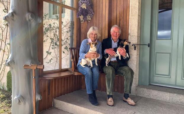 Carlos y Camila celebran su aniversario de boda con una fotografía junto a sus perros