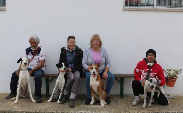 Las protectoras de animales están bajo mínimos debido a la merma de ingresos por la pandemia