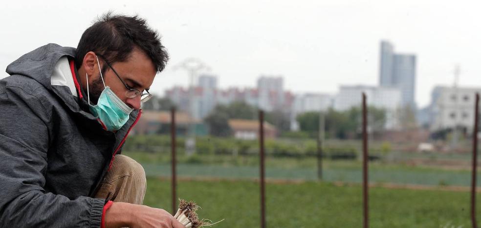 Salvoconductos para trabajar en la huerta de Valencia