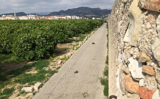 La naranja cierra la mejor temporada en diez años por el aumento del consumo