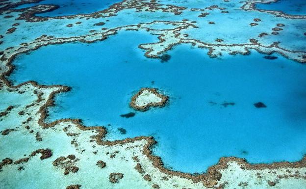 Gran berrera de coral, en Australia.