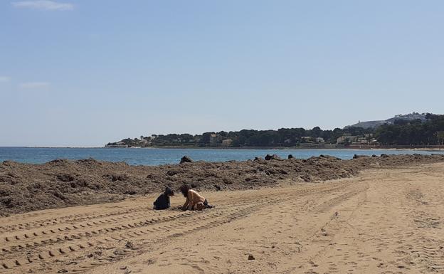 Los niños devuelven la vida a las calles de Dénia