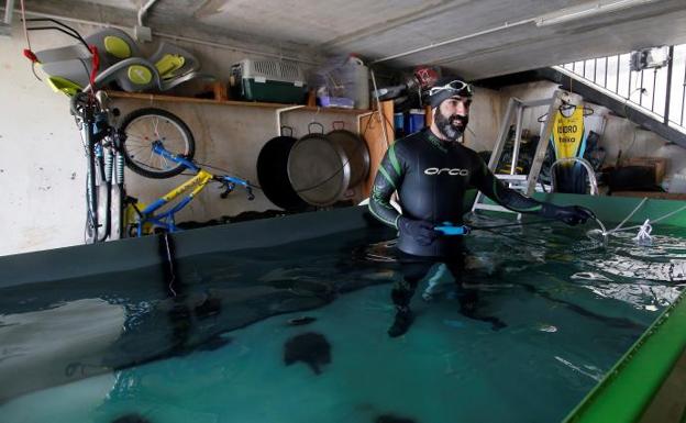 Un triatleta valenciano utiliza un contenedor como piscina para poder entrenar