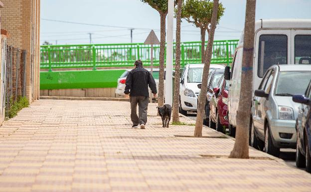 Cullera obliga a limpiar con agua y jabón los orines de los perros