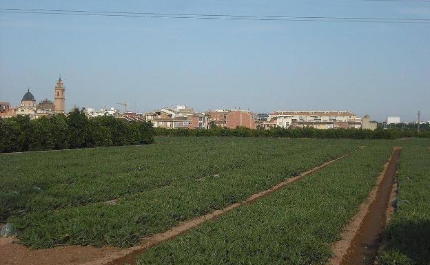 Los municipios protegen la huerta ante la masiva afluencia de visitantes por los paseos