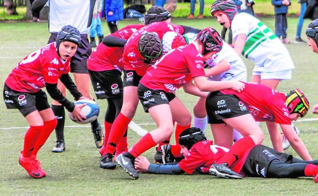 La cantera preocupa al rugby