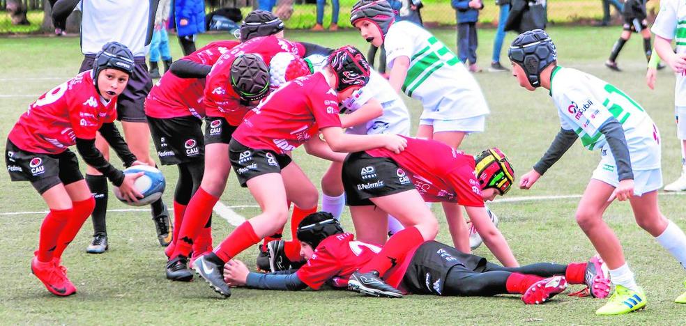 La cantera preocupa al rugby
