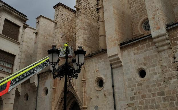Gandia investiga el origen de los daños en la Colegiata