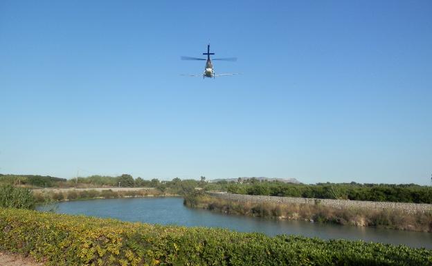 La Ribera espera la autorización para fumigar el río y frenar a la mosca negra