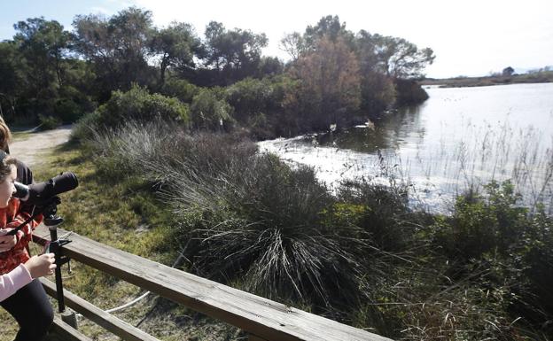 El Museo del Arroz reactiva sus visitas guiadas a la Albufera