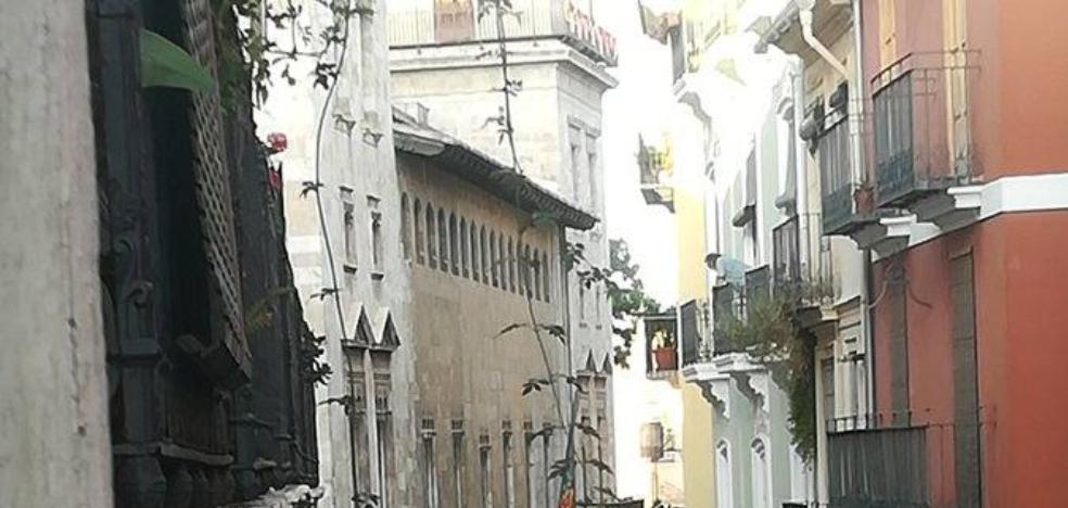 La «ratonera» de las calles del centro de Valencia