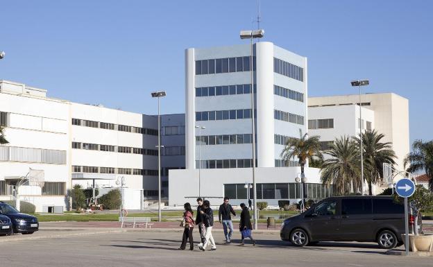 Lladró se despliega en China con la apertura de dos tiendas digitales