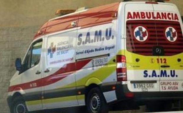 Un perro muerde en la cara a un hombre en Gilet