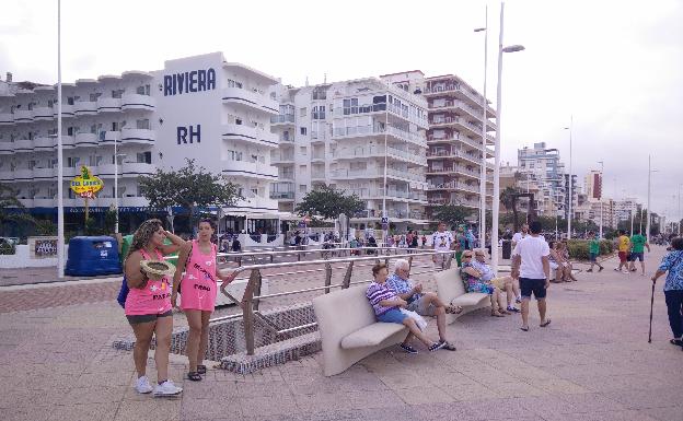 Gandia pulveriza los jardines de la playa para erradicar el mosquito tigre