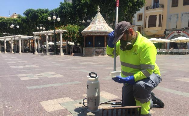 Continúan los tratamientos para el mosquito tigre en Alzira