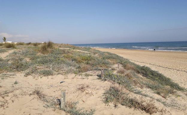 Un puente de 16 metros de ancho unirá las playas de Oliva y Piles tras años de reivindicaciones