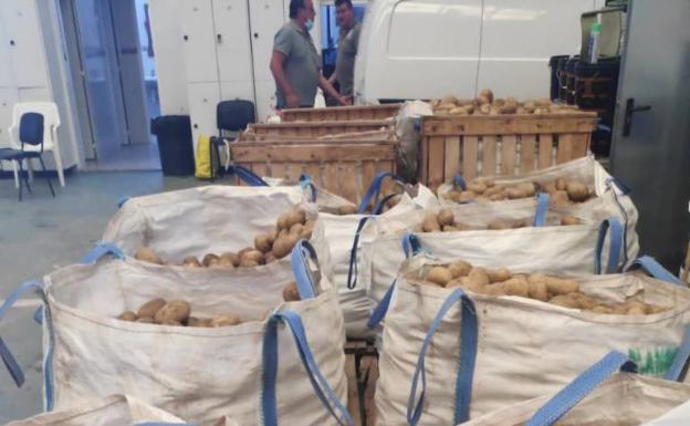 Un agricultor de Meliana dona 8.000 kilos de patatas por el bajo precio que tienen en el mercado