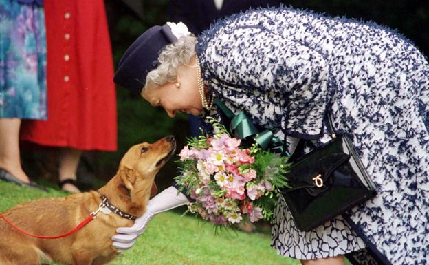 Los perros de raza corgi de Isabel II, criados como reyes