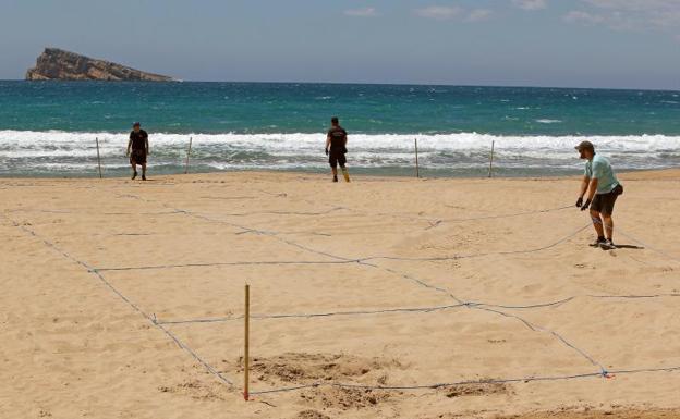 Las playas de Benidorm reabren con parcelas para separar a los bañistas