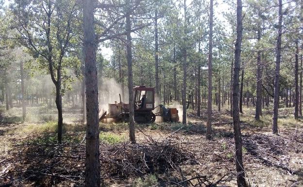 El Consell no garantiza la continuidad de los brigadistas forestales en verano