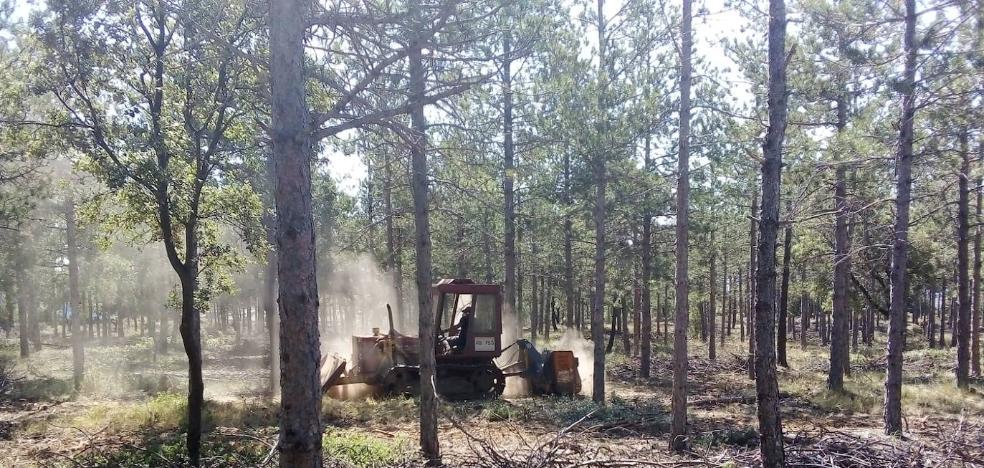 El Consell no garantiza la continuidad de los brigadistas forestales en verano