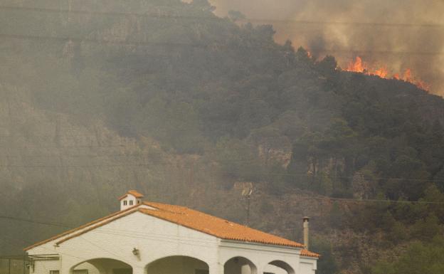 Denuncian la inacción de las administraciones tras cuatro años del incendio de Carcaixent