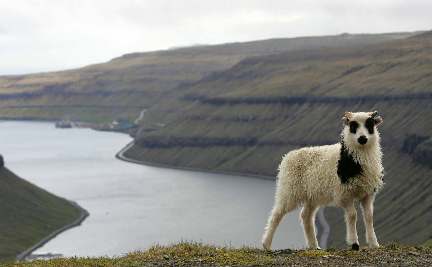 Islas Feroe, naturaleza en estado puro