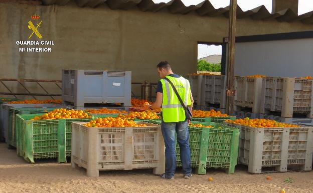 Dos detenidos por estafar a agricultores en la compra de naranjas y caquis en la Ribera Alta