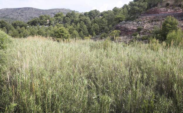 Bomberos rescatan a un joven tras caerse en una zona de montaña de Olocau