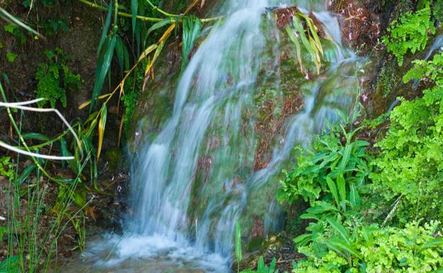 Las Fuentes del Algar: una verdadera estampa natural en la Comunitat