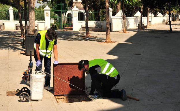 Museros refuerza tratamientos contra las plagas de ratas, cucarachas y mosquitos tigre