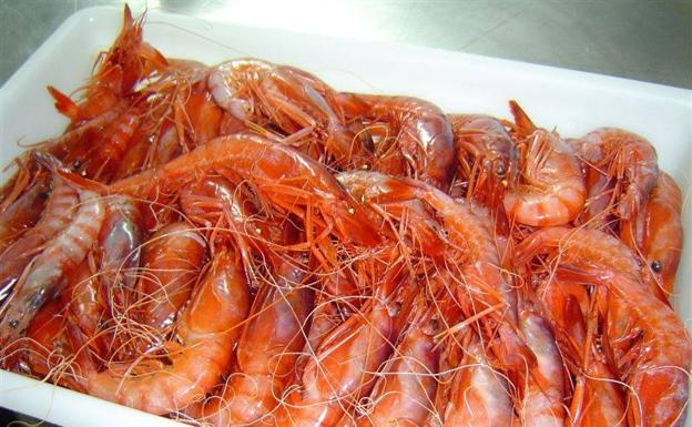 China detecta el coronavirus en gambas congeladas procedentes de Ecuador
