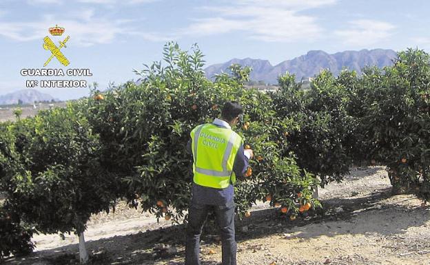 La Compañía de Paiporta de la Guardia Civil reduce un 5% los índices delictivos en pueblos de l'Horta