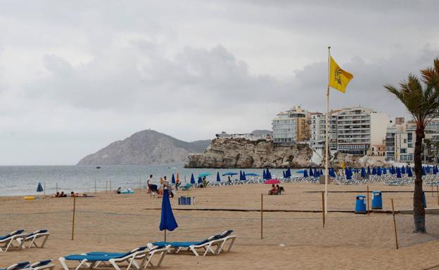 Los rebrotes en Benidorm y Peñíscola son de origen familiar