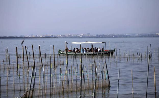 Un estudio alerta del problema de colmatación de la Albufera de Valencia