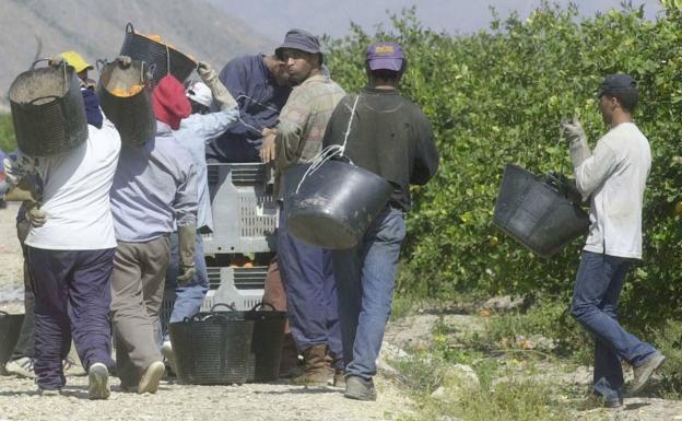 El Gobierno controlará el movimiento de temporeros para evitar brotes