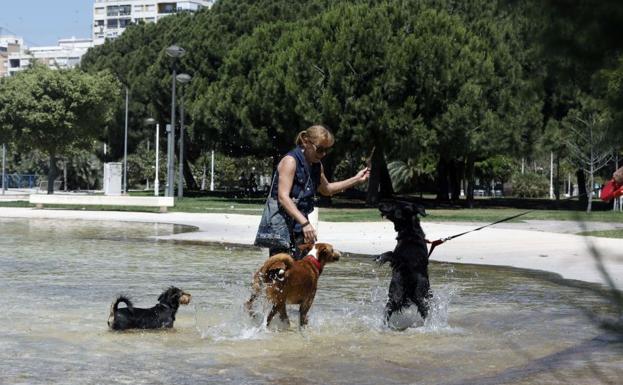 Dónde va a hacer más calor este martes y dónde lloverá el miércoles