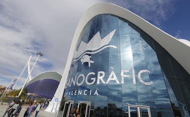 El Oceanogràfic de Valencia reabre tras el incendio de un cuadro eléctrico