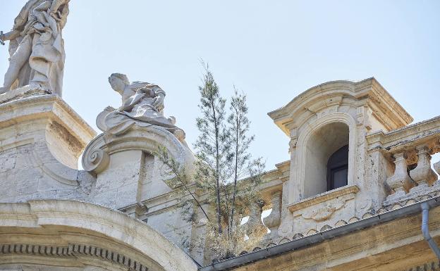 De Palacio de Justicia a jardín