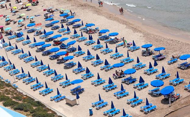 Vista de una zona de hamacas en la playa de Poniente de Benidorm prácticamente vacía.
