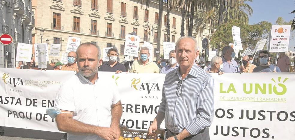 AVA y La Unió estudian demandar a la Administración por las pérdidas del 'Cotonet'