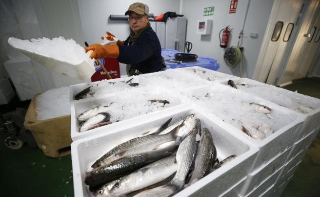 El BOE publica las ayudas a la Pesca por el coronavirus: Requisitos y quién puede cobrarlas