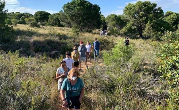 Admiten a trámite un recurso contra la urbanización de la Torre del Pirata de Godella