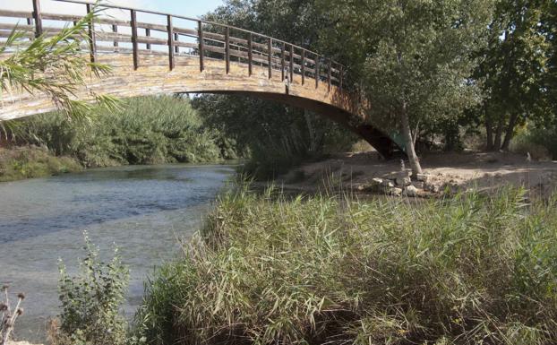 Prohibido el baño en el río Túria en Riba-roja para evitar contagios de coronavirus