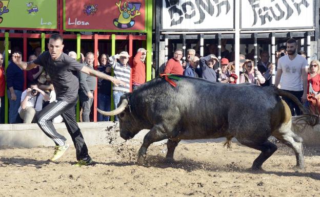 De 3.500 festejos a cinco plazas